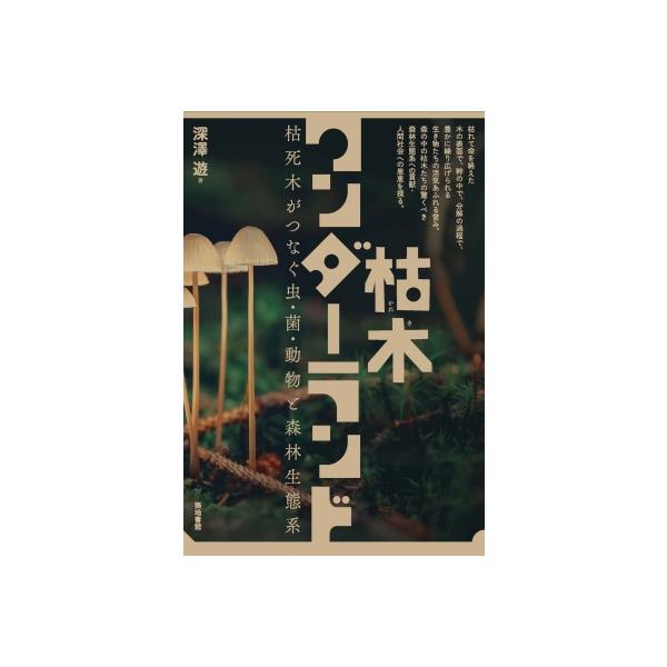 枯木ワンダーランド 枯死木がつなぐ虫・菌・動物と森林生態系 / 深澤遊 〔本〕