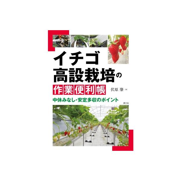 イチゴ高設栽培の作業便利帳 中休みなし・安定多収のポイント / 伏原肇  〔本〕