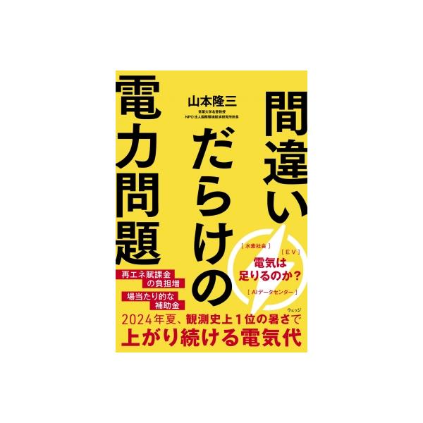 間違いだらけの電力問題 / 山本隆三 〔本〕