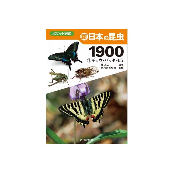 古い昆虫図鑑 Amazon.co.jp: 新 日本の昆虫1900(1)チョウ・バッタ・セミ