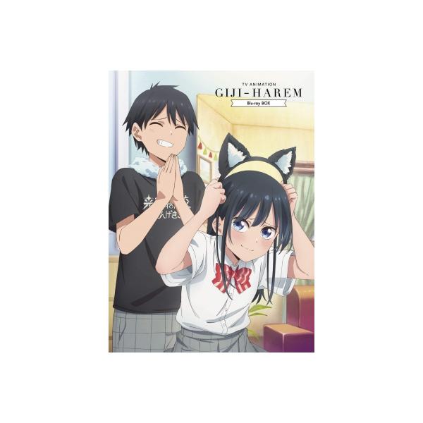 TVアニメ「疑似ハーレム」Blu-ray BOX 〔BLU-RAY DISC〕