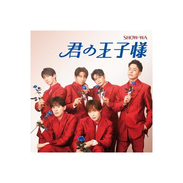 いつか王子様が DVD-BOX1 9jupf8b 31071-1328-