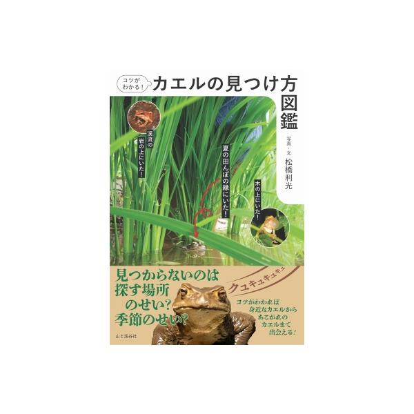 コツがわかる!カエルの見つけ方図鑑 / 山と溪谷社  〔図鑑〕