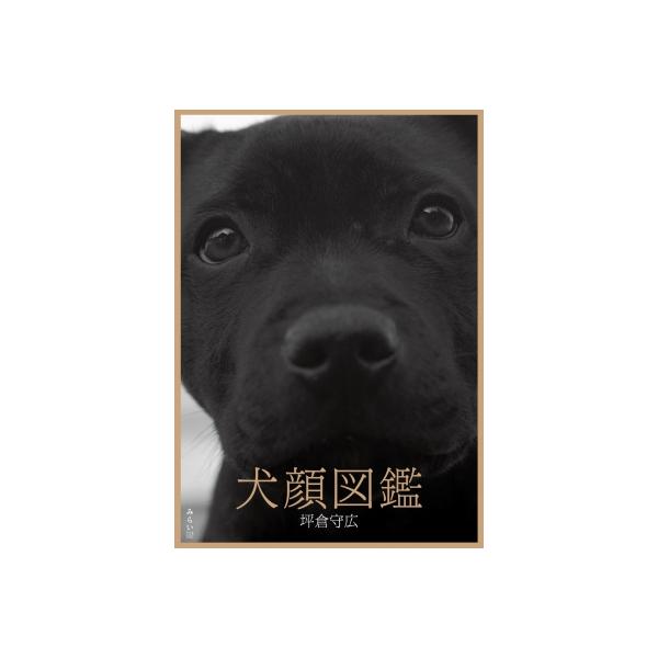 発売日:2025年04月 / ジャンル:アート・エンタメ / フォーマット:本 / 出版社:みらいパブリッシング / 発売国:日本 / ISBN:9784434357237 / アーティストキーワード:乎加 内容詳細:愛情をもって犬を思いや...