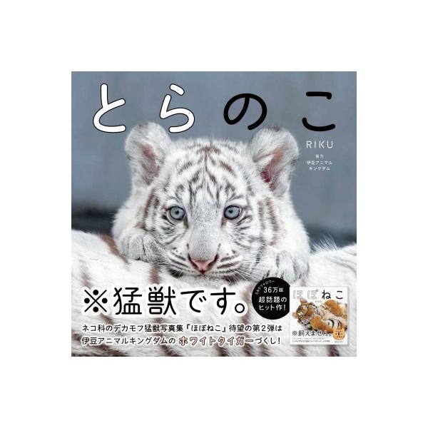 RIKU とらのこ Book