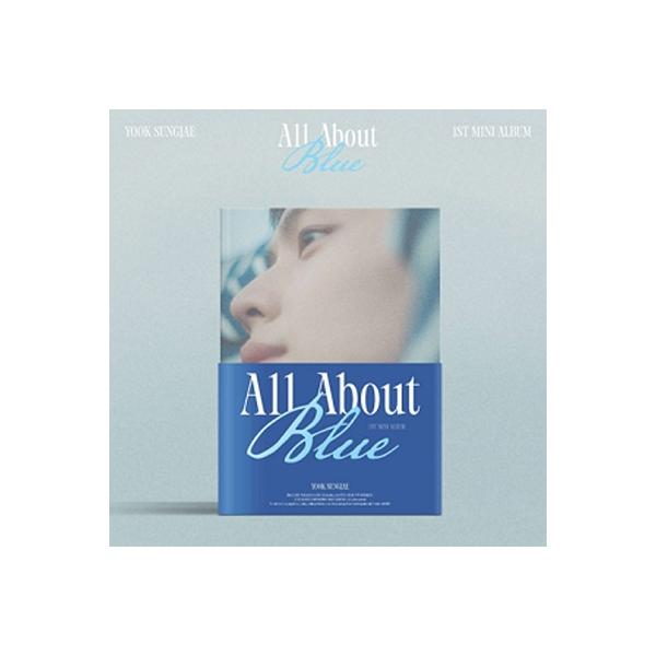 BTOB ソンジェ The Blue Journey MD セット ユク・ソンジェ