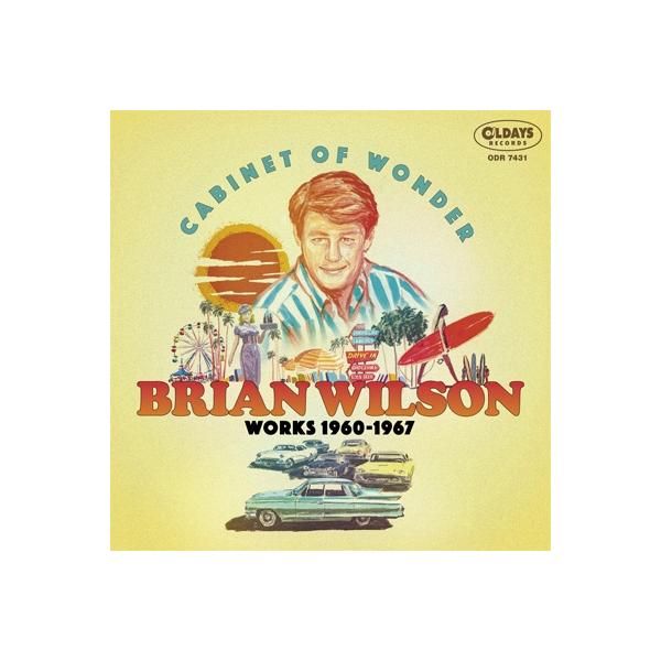 ブライアン・ウィルソン DVD ６本セット ブライアン・ウィルソン DVD 6本セット BRIAN WILSON