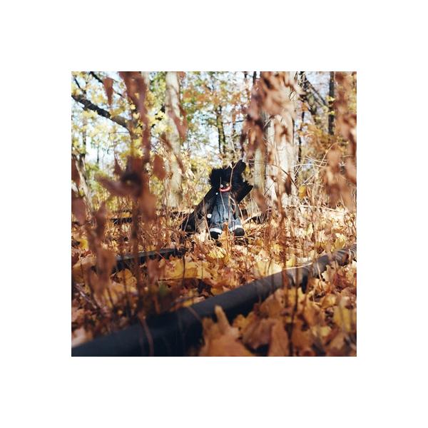【日本限定盤】billy woods - GOLLIWOG 2LP Billy Woods: Golliwog Vinyl 2LP — TurntableLab.com