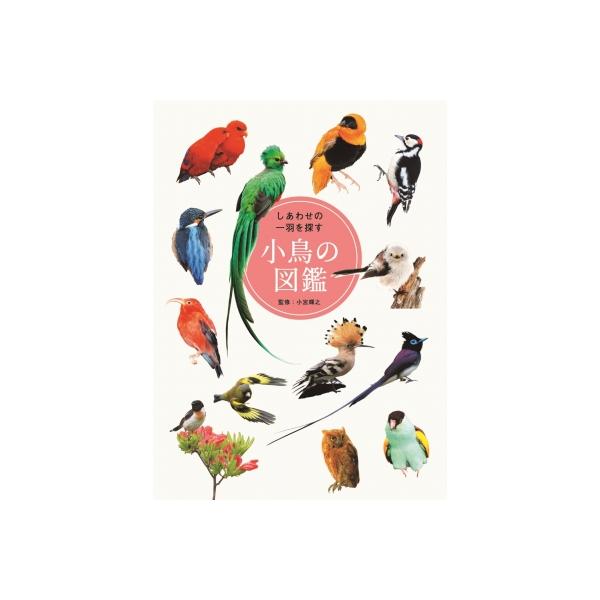 発売日:2025年10月 / ジャンル:アート・エンタメ / フォーマット:本 / 出版社:三才ブックス / 発売国:日本 / ISBN:9784866734644 / アーティストキーワード:小宮輝之 内容詳細:色とりどりのかわいい小鳥た...