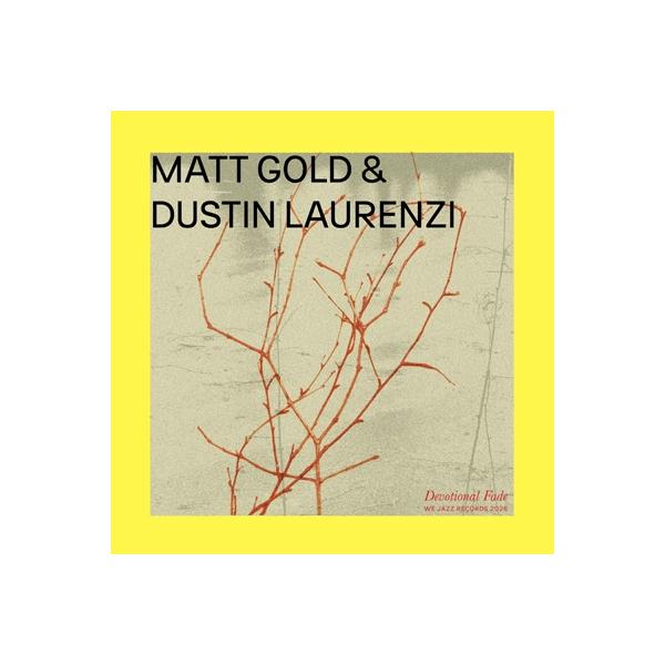 Matt Gold / Dustin Laurenzi / Devotional Fade 〔LP〕