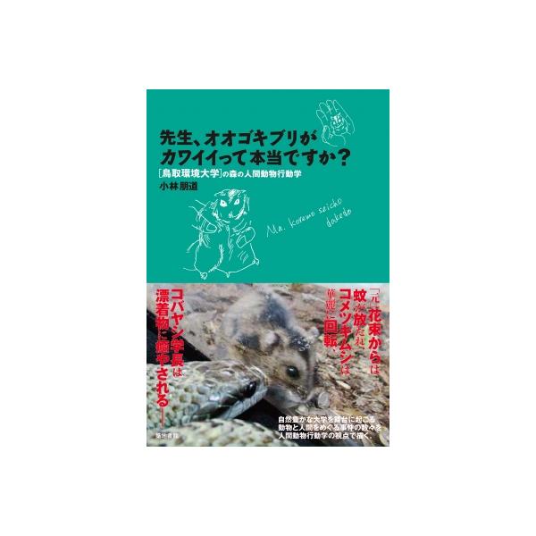 先生、オオゴキブリがカワイイって本当ですか? 鳥取環境大学の森の人間動物行動学 / 小林朋道 〔本〕