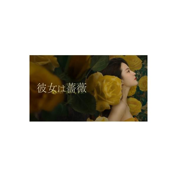 彼女は薔薇 DVD-BOX3 〔DVD〕