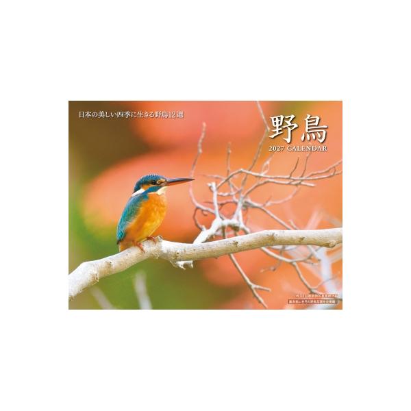 野鳥カレンダー 2027 / 内山晟動物写真事務所 〔ムック〕