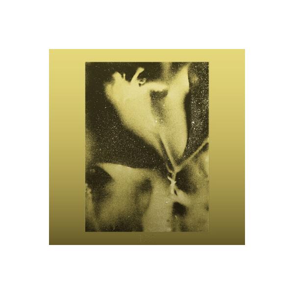 Flying Lotus フライングロータス / 1983 〔LP〕