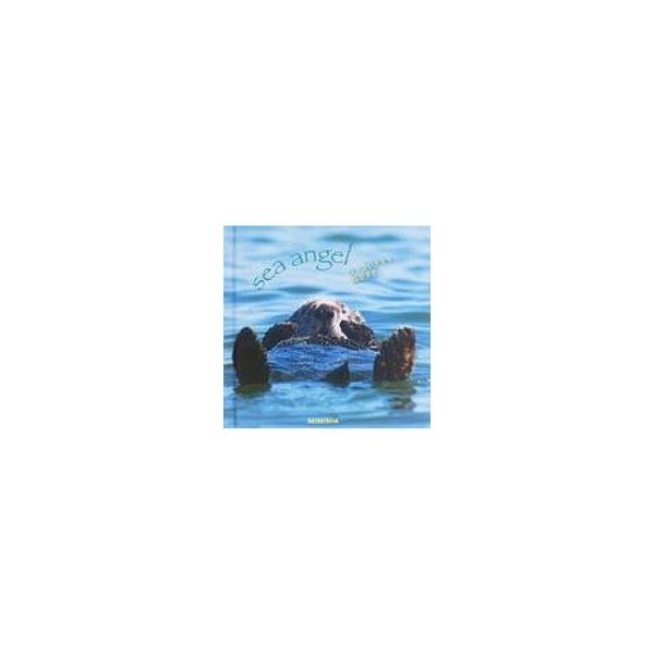 ラッコのきもち sea　angel / 福田幸広  〔本〕
