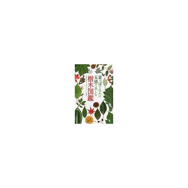葉っぱで見わけ五感で楽しむ樹木図鑑 / ネイチャー・プロ編集室  〔図鑑〕