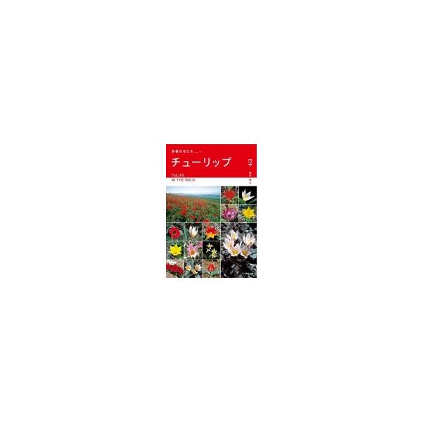 原種の花たち チューリップ ヨーロッパ・アジア9カ国紀行 / 冨山稔 〔本〕
