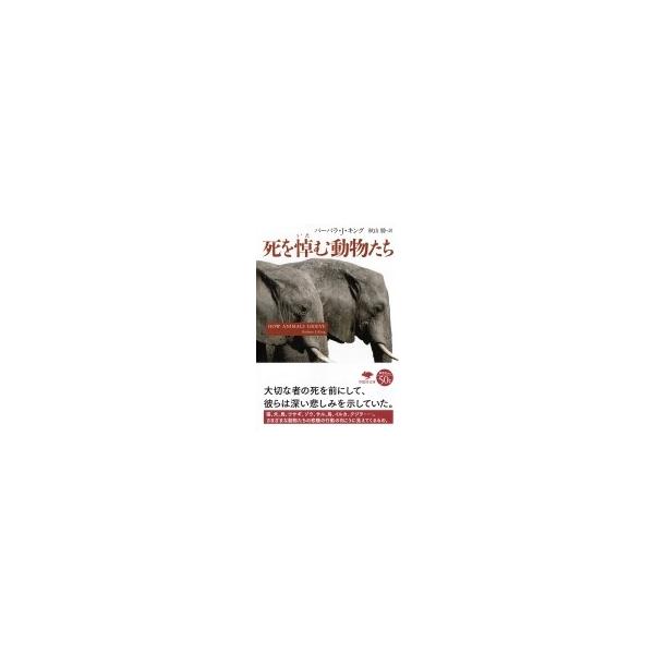 死を悼む動物たち 草思社文庫 バーバラ J キング 文庫 Hmv Books Online Yahoo 店 通販 Yahoo ショッピング