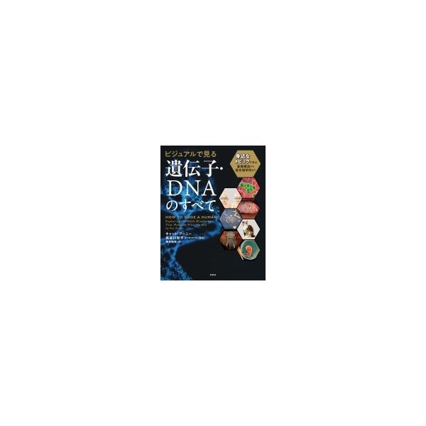 ビジュアルで見る遺伝子・DNAのすべて 身近なトピックで学ぶ基礎構造から最先端研究まで / キャット・アーニ