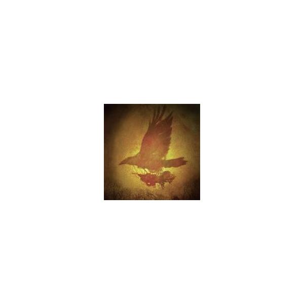 Arstidir / Svefns Og Voku Skil 輸入盤 〔CD〕