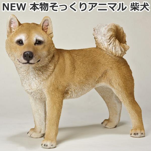 New 本物そっくりアニマル 柴犬 犬型置き物 オブジェ プレゼントにも最適 Kpevistonidas Gr