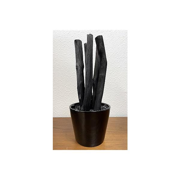 玄関・部屋の飾り＆消臭インテリア　焼き物器　備長炭 備長炭 消臭 インテリア」の人気商品一覧 | 安い商品を通販サイトから