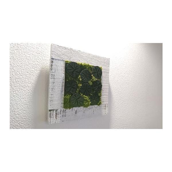 CeAY@eYt[@@@@AeB[N@GCWOzCg@`^Cv@t[X^ht