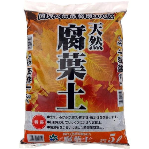 自然応用科学 国産腐葉土 天然腐葉土 ５ｌ 用土 培養土 土壌改良 昆虫専門店ホビー倶楽部 通販 Yahoo ショッピング