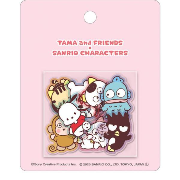 サンリオ詰め込み sanrio（サンリオ） サンリオ☆タマ＆フレンズ×サンリオキャラクターズ