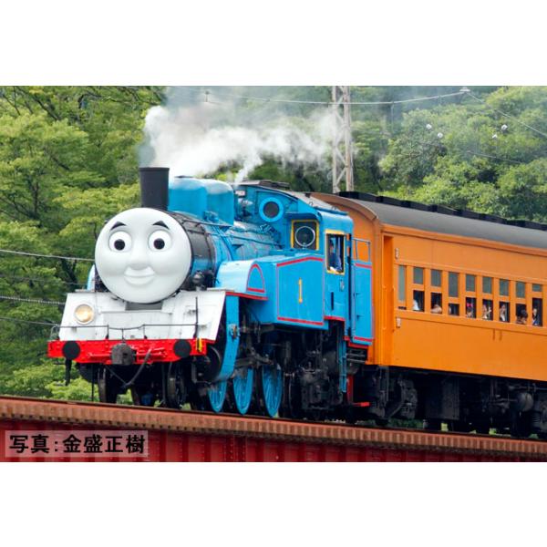 売出し23日まで!! 美品TOMIX 8602 大井川鐵道 きかんしゃトーマス号 51MwdsNhRwL._UF894,1000_QL80_.jpg