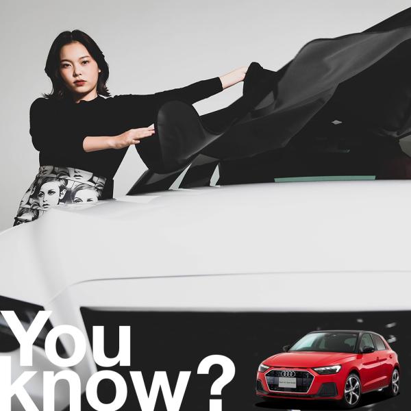 アウディ AUDI A1 S1 高級 フロント ガラス カバー 凍結防止サンシェード シート 霜よけ 雪避け 雪 霜 （09ks-053-sa）01