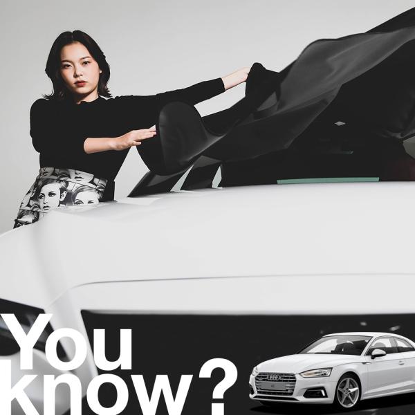 アウディ AUDI A5 S5 RS5 高級 フロント ガラス カバー 凍結防止サンシェード シート 車用 日よけ 日除け 霜よけ 雪避け 雪 霜 （09ks-