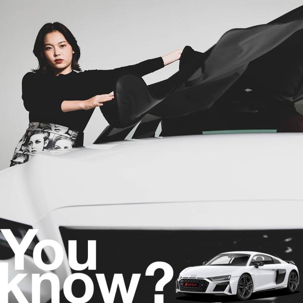 アウディ AUDI R8 Coupe Spyder 高級 フロント ガラス カバー 凍結防止サンシェード シート 霜よけ 雪避け 雪 霜 （09ks-078-s
