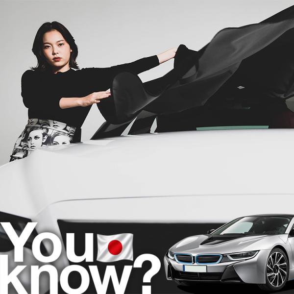 BMW i8 クーペ ロードスター 高級 フロント ガラス カバー 凍結防止サンシェード シート 車用 日よけ 日除け 霜よけ 雪避け 雪 霜 （09ks-14