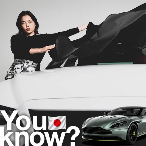 アストンマーティン DB11 高級 フロント ガラス カバー 凍結防止サンシェード シート 車用 日よけ 日除け 霜よけ 雪避け 雪 霜 （09ks-103-s