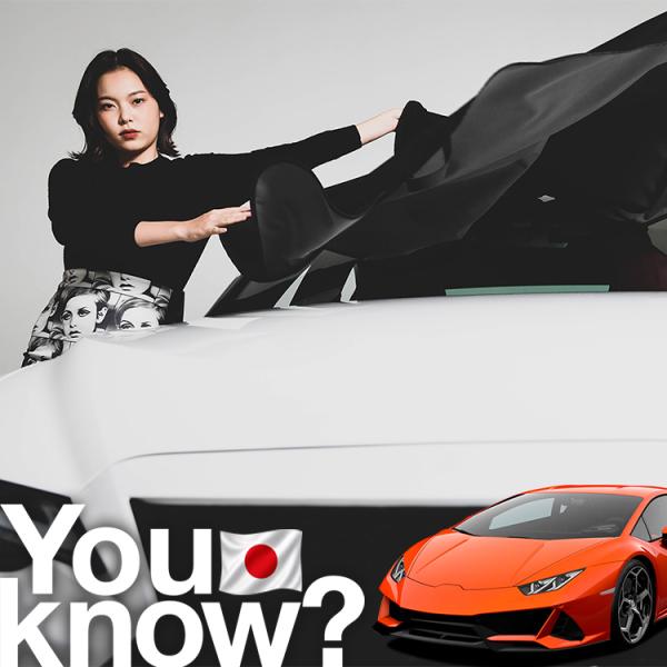 ランボルギーニ ウラカン HURACAN 高級 フロント ガラス カバー 凍結防止サンシェード シート 車用 日よけ 日除け 霜よけ 雪避け 雪 霜 （09ks