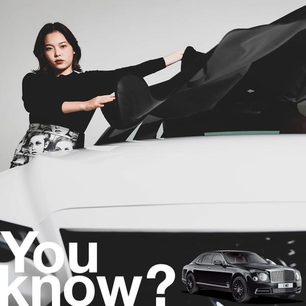 ベントレー ミュルザンヌ 高級 フロント ガラス カバー 凍結防止サンシェード シート 車用 日よけ 日除け 霜よけ 雪避け 雪 霜 （09ks-034-sa）