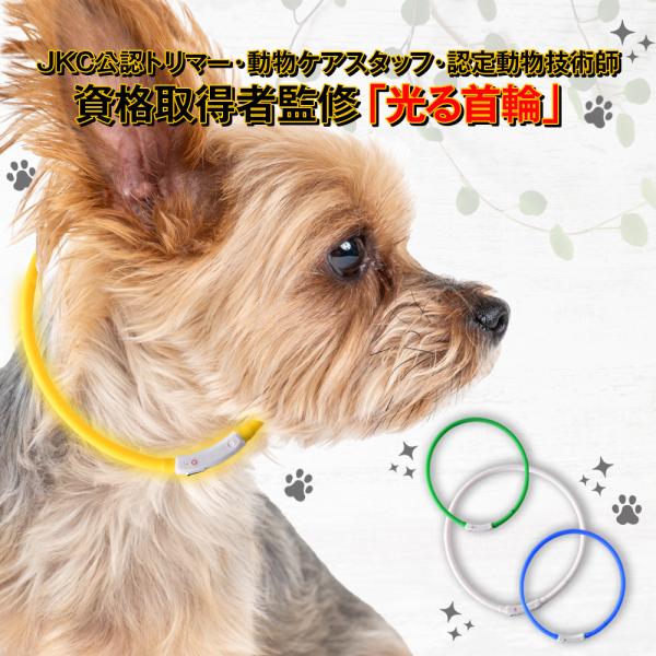 hobbyone_choker-01_1_d_20230215182525