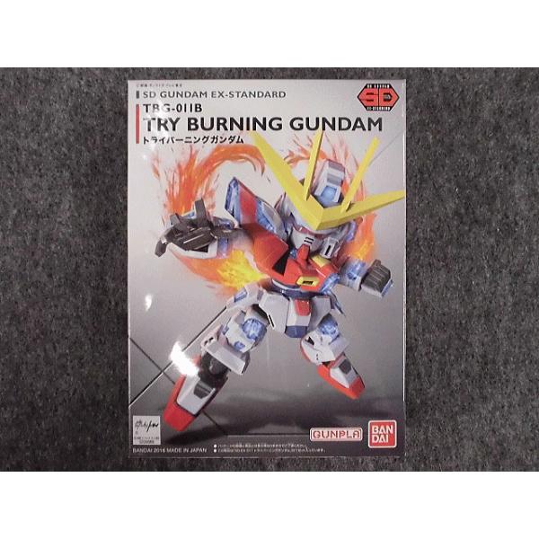 �o���_�C �m���X�P�[�� �r�c �d�w-�X�^���_�[�h�V���[�Y  No.011 TBG-011B �g���C�o�[�j���O�K���_��