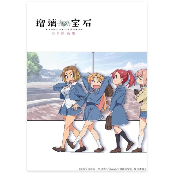新品未開封 瑠璃の宝石 OP原画集 オープニング原画集 公式 グッズ