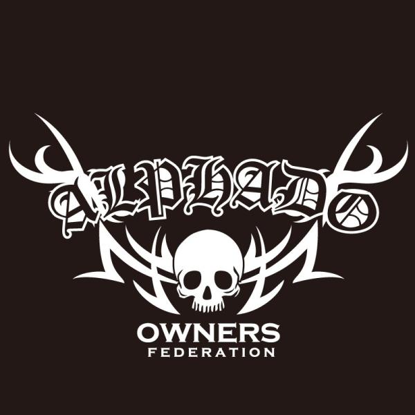 JbeBOXebJ[ g^iTOYOTAjAt@[h ALPHARD tribebone2  J[ XebJ[ ANZT[ V[ KX[]