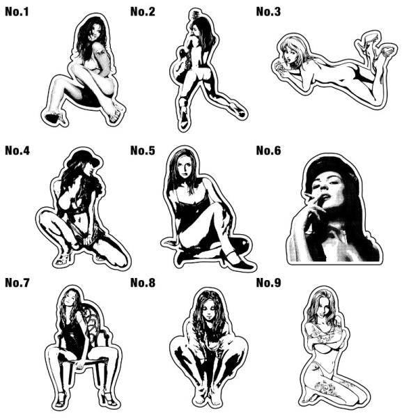 XebJ[ V[   AEghA X[cP[X  T[tB T[t{[h oCN h LN^[ J[ V[ by ZNV[ []