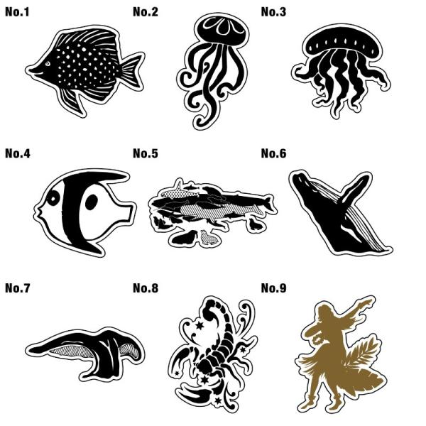 XebJ[ V[   AEghA X[cP[X  T[tB T[t{[h oCN h LN^[ J[ V[ T[t CeA []