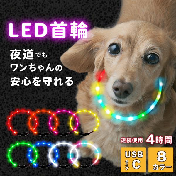 hobinavi_pet010_1_d_20240521150520