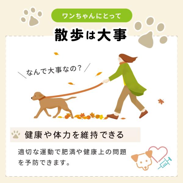 hobinavi_pet010_5_d_20240521150532