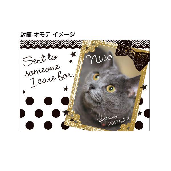 かんたんオーダー オリジナル レターセット Classiccrown 5パック１セット Letter Pet003 宝文社オンラインショップ 通販 Yahoo ショッピング