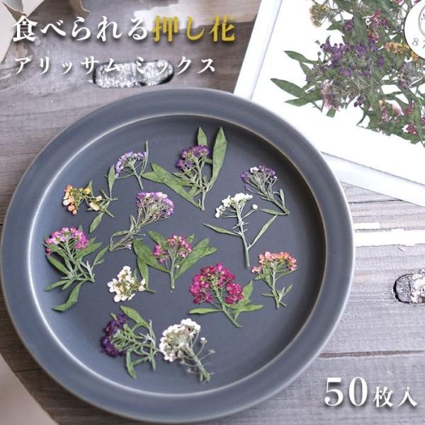 エディブルフラワー ドライ 食用花 食べられる 花 アリッサム 50枚 誕生日 プレゼント ギフト 自然 滋賀県 能登川 メール便対応 ポイント消化 Buyee Buyee 提供一站式最全面最專業現地yahoo Japan拍賣代bid代拍代購服務 Bot Online
