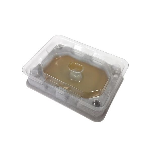  BDS xbhoOXC_[ 8Zbg gRW~pSgbv xbh }bgX \t@ Ƌ  h sobO j^[ `FbN ze 