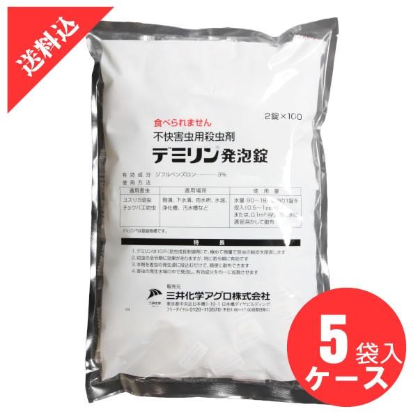 `EoG XJ쏜 f~A 3 i2×100j×5/P[X   Q쏜 E