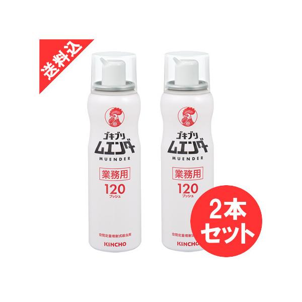  SLu쏜 ƖpSLuG_[ ×2{Zbg 120vbV SLu쏜   E HX ~[ Xg ȒP 